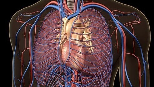 pulmonary-embolism-malpractice1